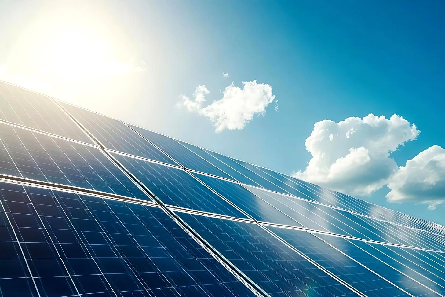 Professionnel analysant les données de consommation énergétique d'une organisation